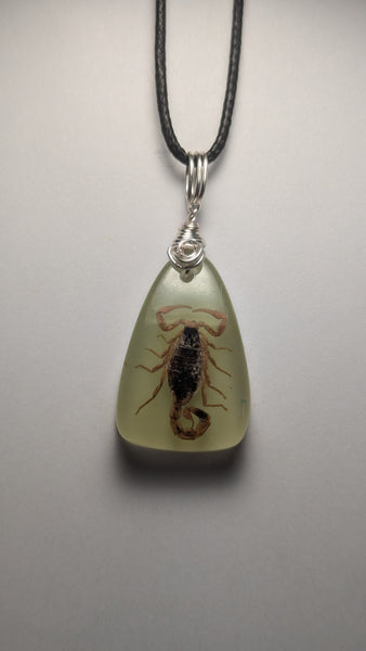 scorpion in resin