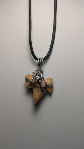 Shark Tooth